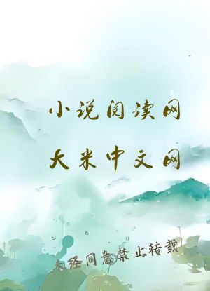 小说阅读网大米中文网 无弹窗